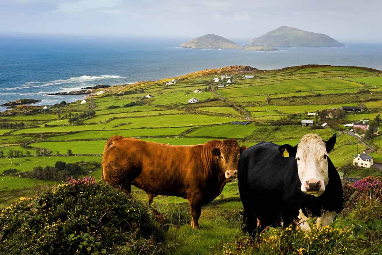 The Wild Atlantic Way This scenic drive takes in the famous Ring of Kerry - - photo 8