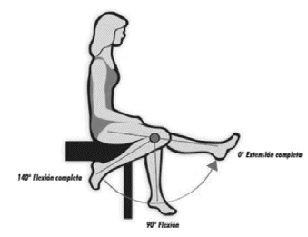 Hip flexin Hamstrings The functions of hamstrings are basically the - photo 6