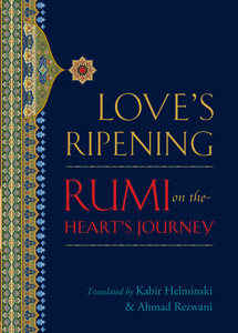 Mevlana Jalaluddin Rumi The Pocket Rumi