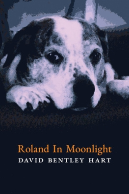 David Bentley Hart - Roland in Moonlight