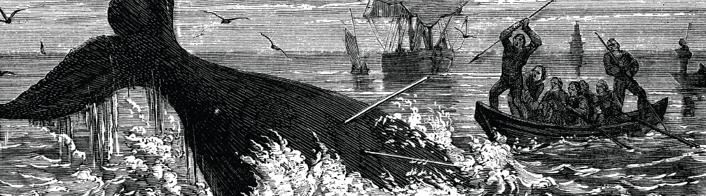 Whale hunters used long spears called harpoons to kill the whales Over the - photo 11