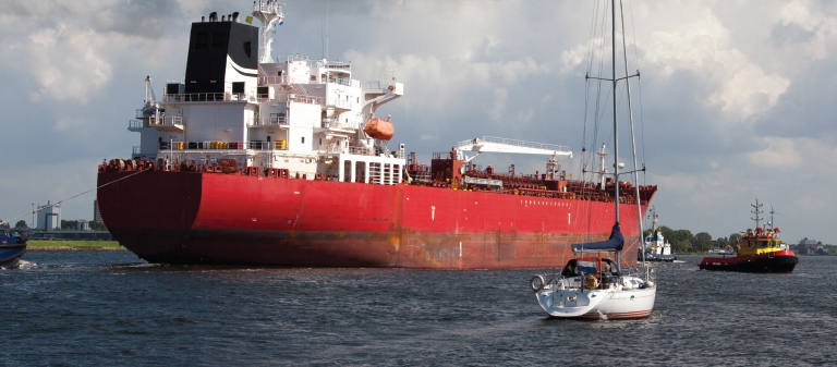 Right Whales Today Today many ships travel on the ocean carrying goods and - photo 12