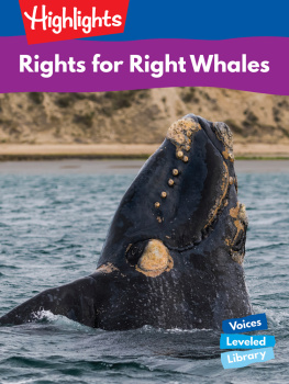 Meish Goldish - Rights for Right Whales