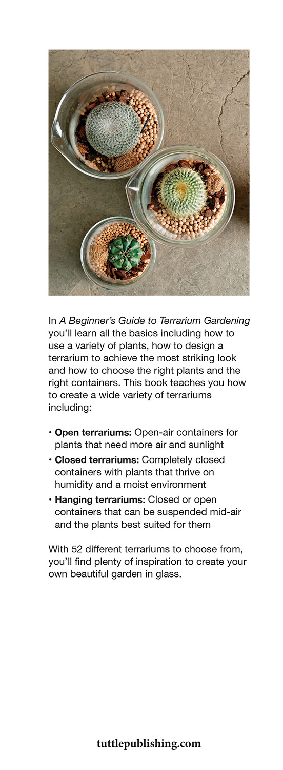 Table of Contents Guide A Beginners Guide to Terrarium Gardening Succulents - photo 2