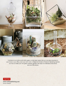 Katsuji Sueko A Beginners Guide to Terrarium Gardening: Succulents, Air Plants, Cacti, Moss and More! (Contains 52 Projects)