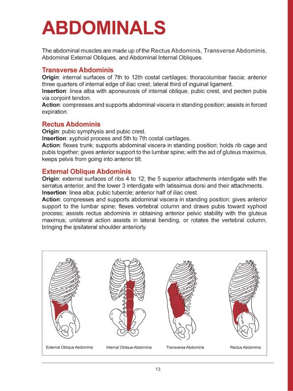 Manual Muscle Testing A practical guide - photo 10