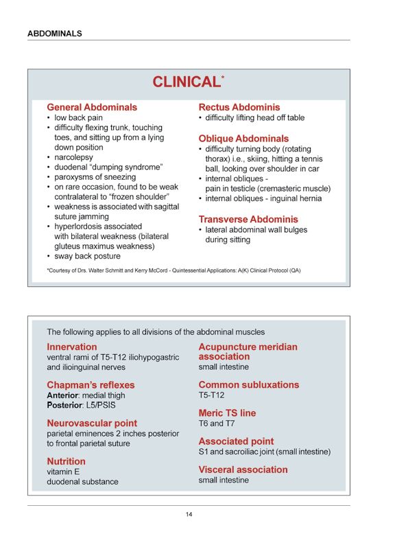 Manual Muscle Testing A practical guide - photo 11