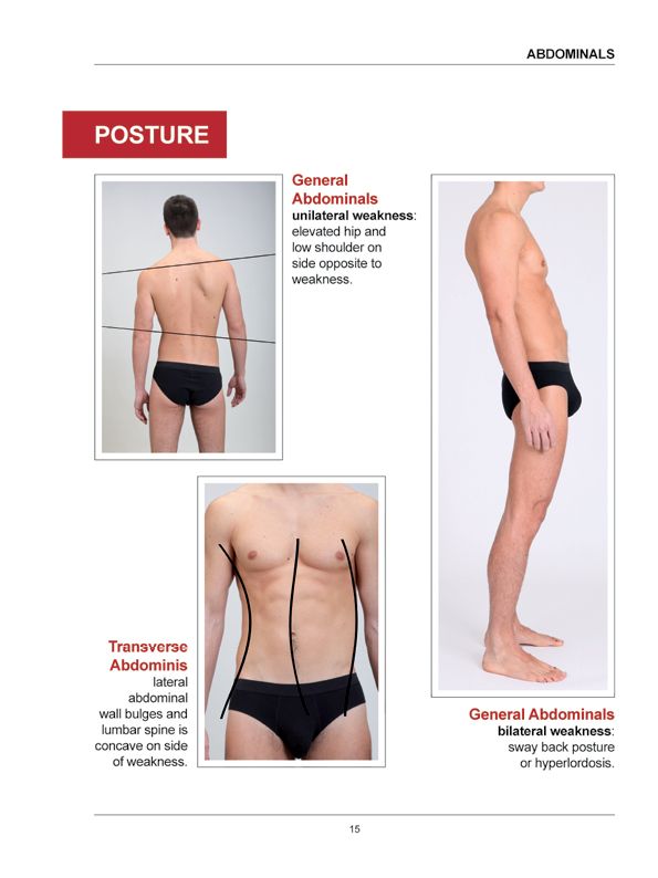 Manual Muscle Testing A practical guide - photo 12