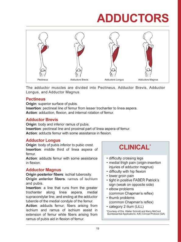 Manual Muscle Testing A practical guide - photo 16