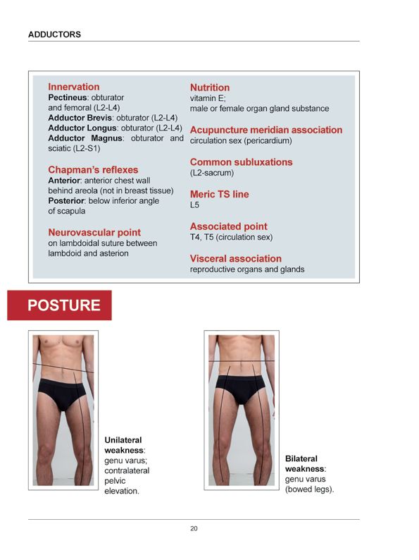 Manual Muscle Testing A practical guide - photo 17