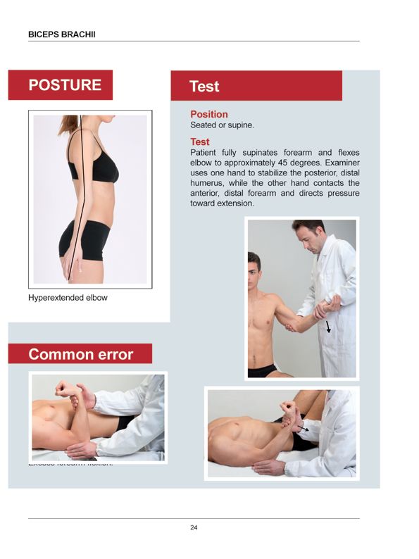 Manual Muscle Testing A practical guide - photo 21