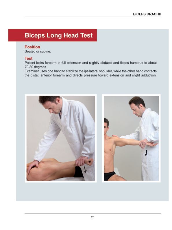 Manual Muscle Testing A practical guide - photo 22