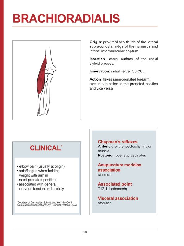 Manual Muscle Testing A practical guide - photo 23