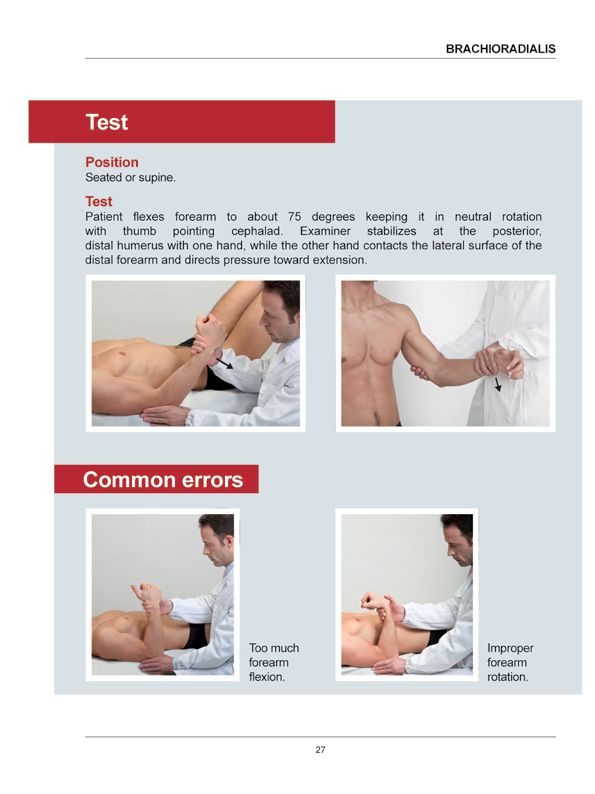 Manual Muscle Testing A practical guide - photo 24