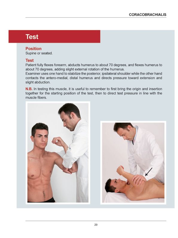 Manual Muscle Testing A practical guide - photo 26