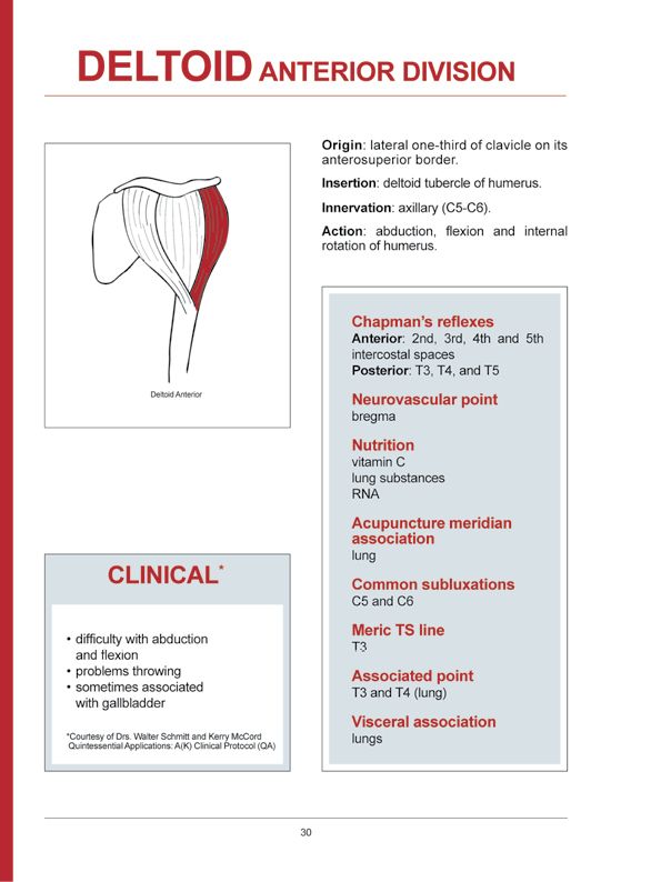 Manual Muscle Testing A practical guide - photo 27