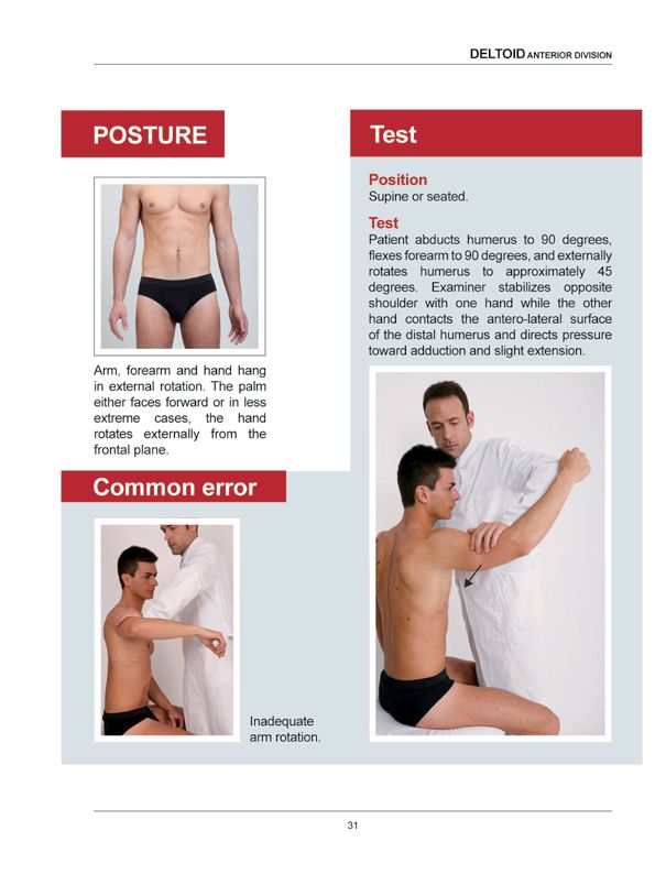 Manual Muscle Testing A practical guide - photo 28