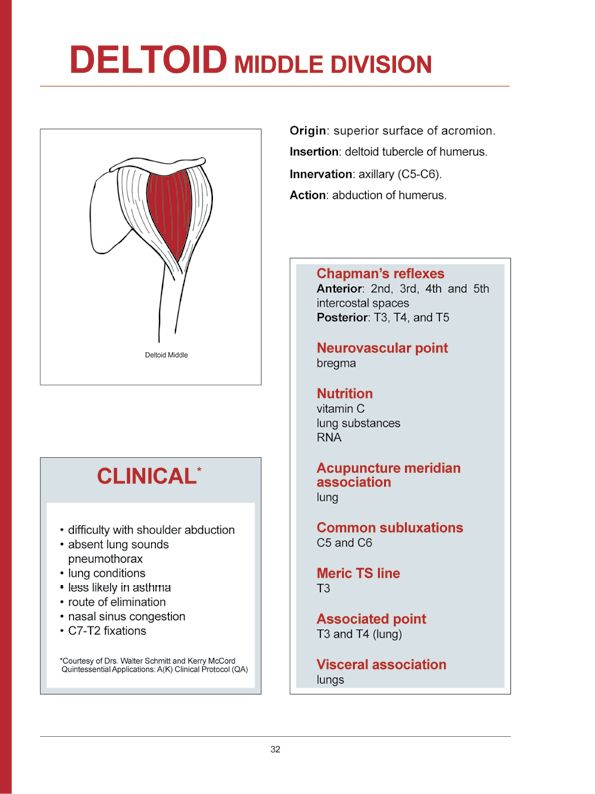 Manual Muscle Testing A practical guide - photo 29