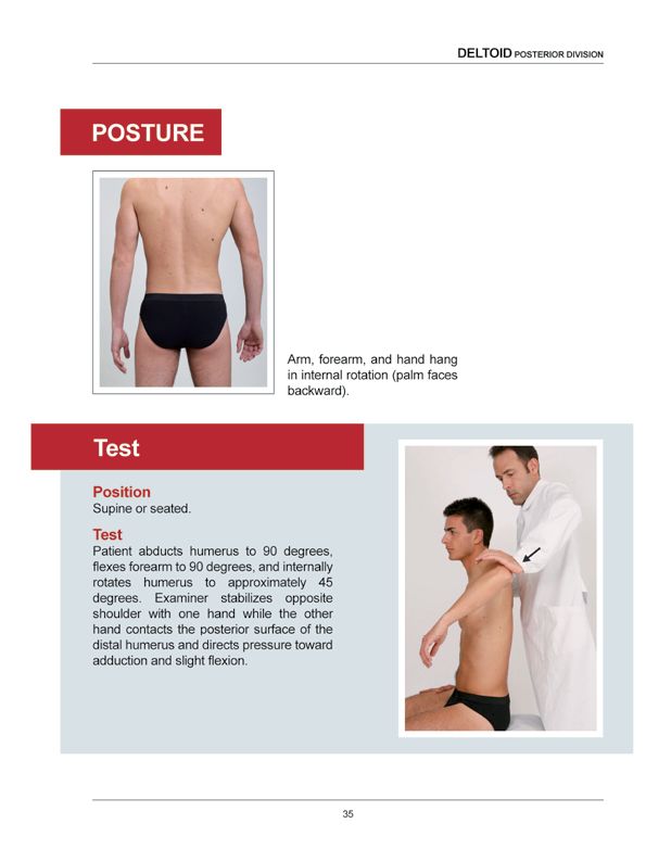 Manual Muscle Testing A practical guide - photo 32