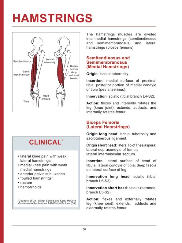 Manual Muscle Testing A practical guide - photo 57