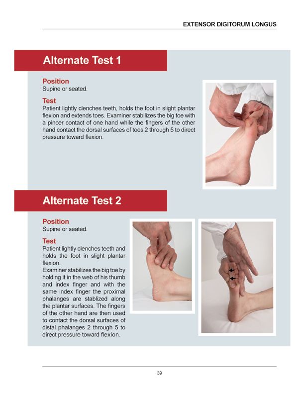 Manual Muscle Testing A practical guide - photo 36