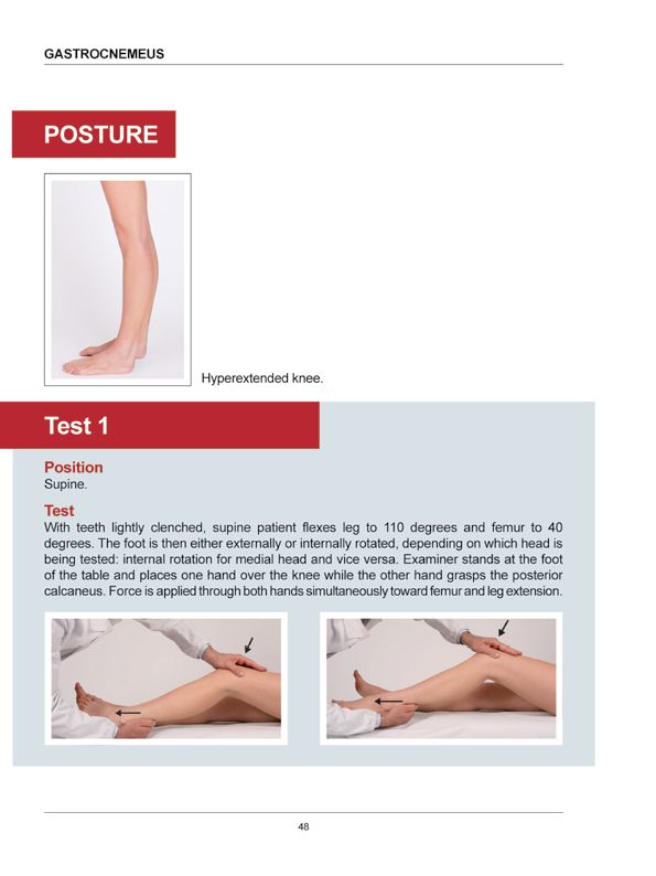 Manual Muscle Testing A practical guide - photo 45