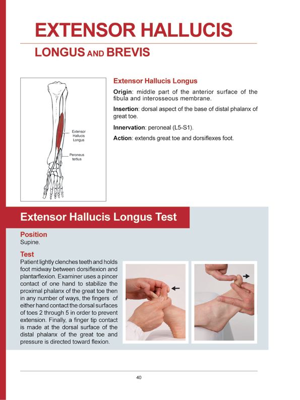 Manual Muscle Testing A practical guide - photo 37