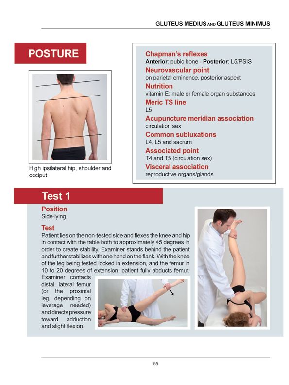 Manual Muscle Testing A practical guide - photo 52