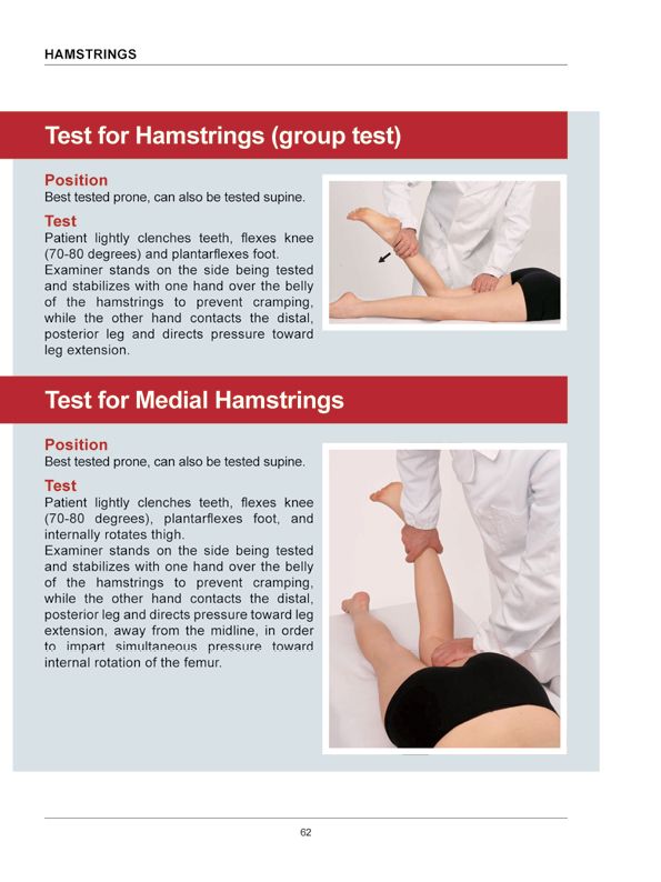 Manual Muscle Testing A practical guide - photo 59