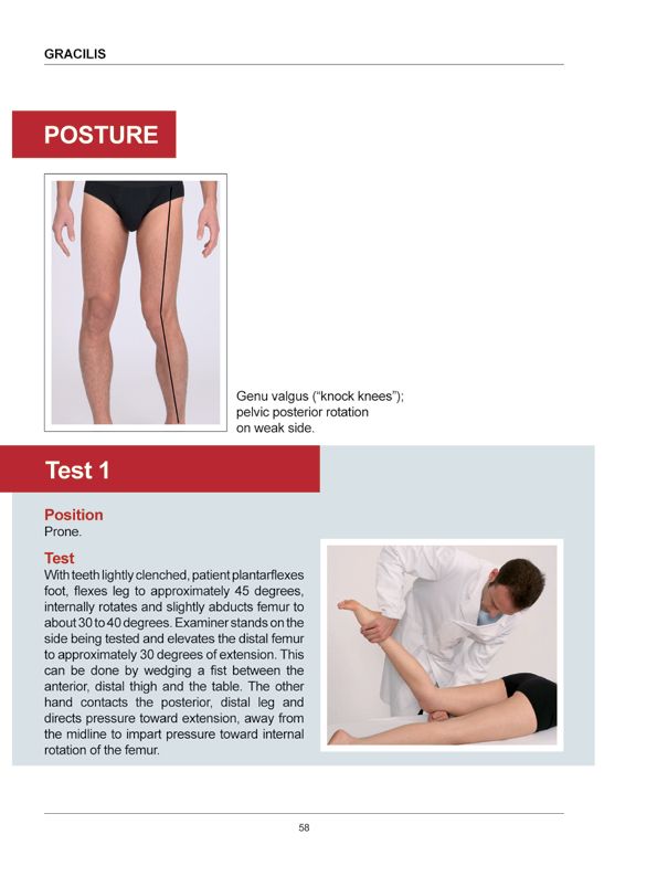 Manual Muscle Testing A practical guide - photo 55