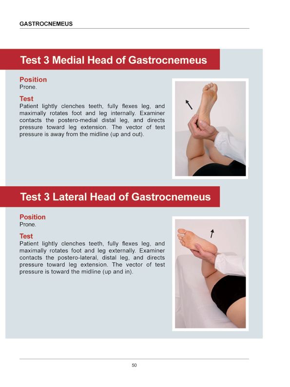 Manual Muscle Testing A practical guide - photo 47