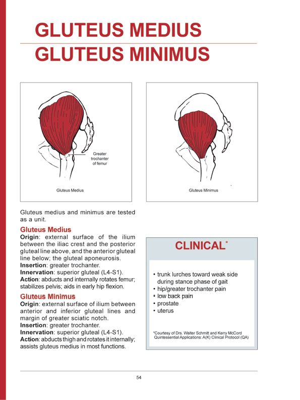 Manual Muscle Testing A practical guide - photo 51