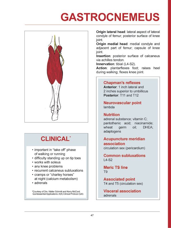 Manual Muscle Testing A practical guide - photo 44