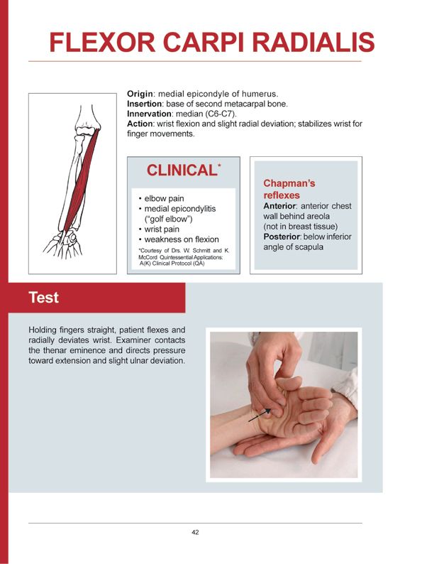 Manual Muscle Testing A practical guide - photo 39