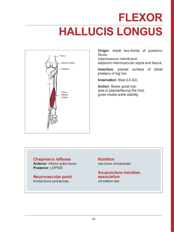 Manual Muscle Testing A practical guide - photo 42