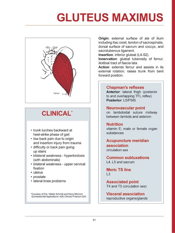 Manual Muscle Testing A practical guide - photo 48