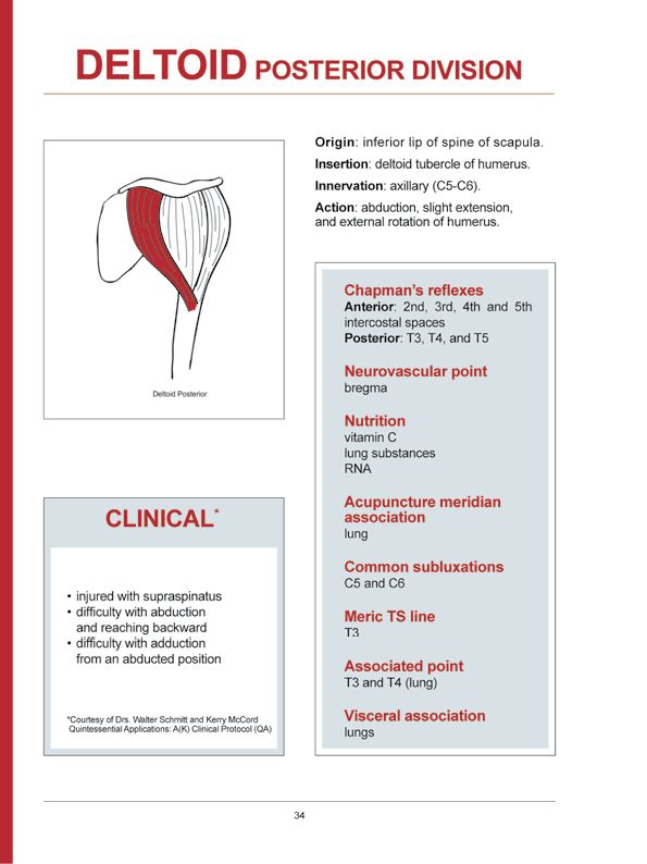 Manual Muscle Testing A practical guide - photo 31