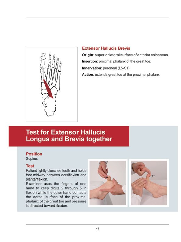 Manual Muscle Testing A practical guide - photo 38