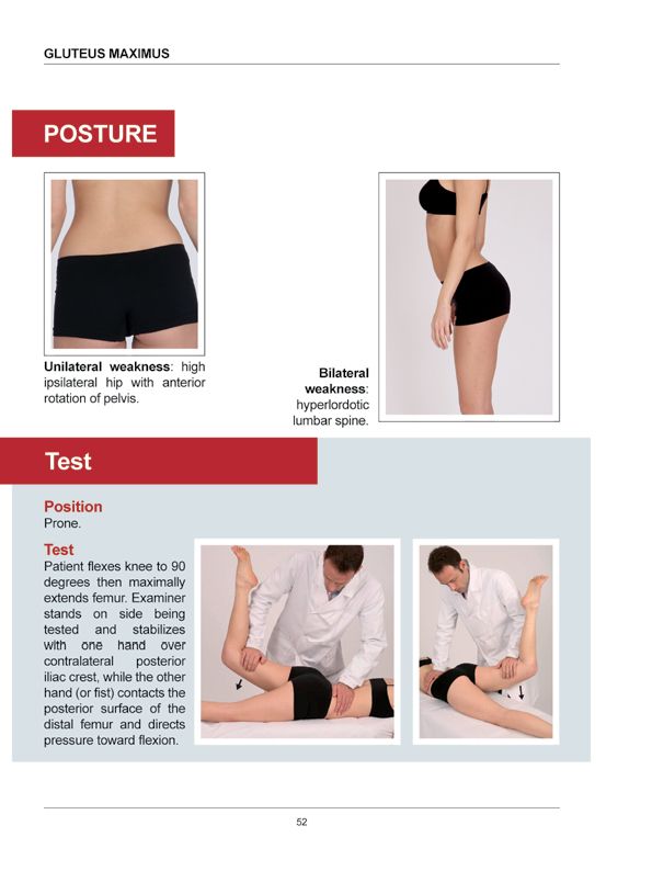 Manual Muscle Testing A practical guide - photo 49