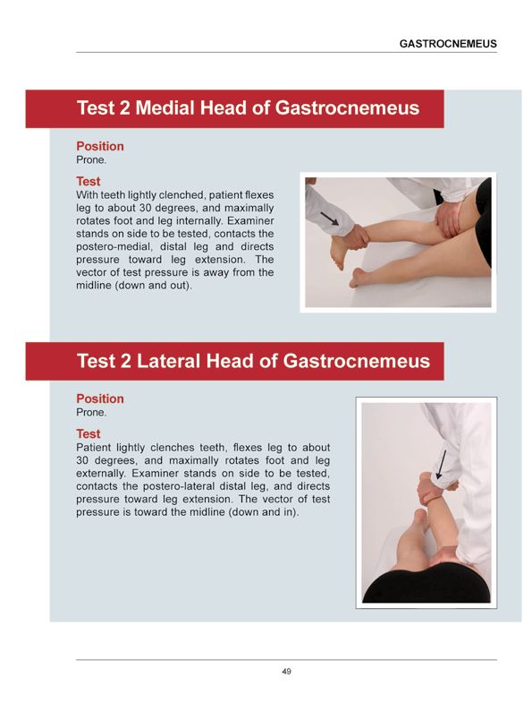 Manual Muscle Testing A practical guide - photo 46