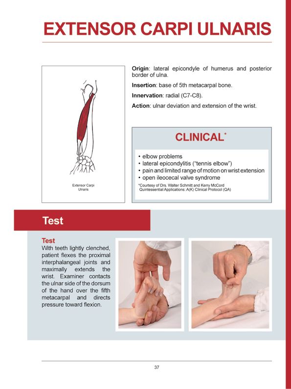 Manual Muscle Testing A practical guide - photo 34