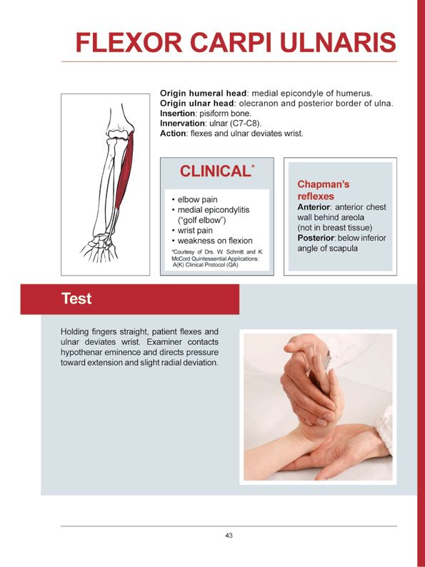 Manual Muscle Testing A practical guide - photo 40