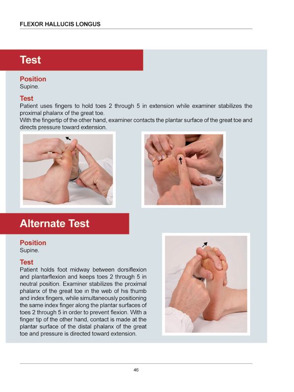 Manual Muscle Testing A practical guide - photo 43