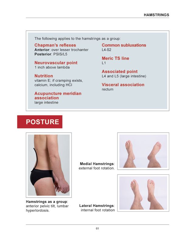 Manual Muscle Testing A practical guide - photo 58