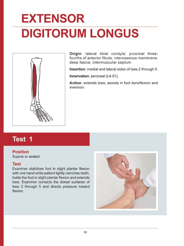 Manual Muscle Testing A practical guide - photo 35