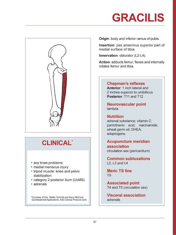 Manual Muscle Testing A practical guide - photo 54