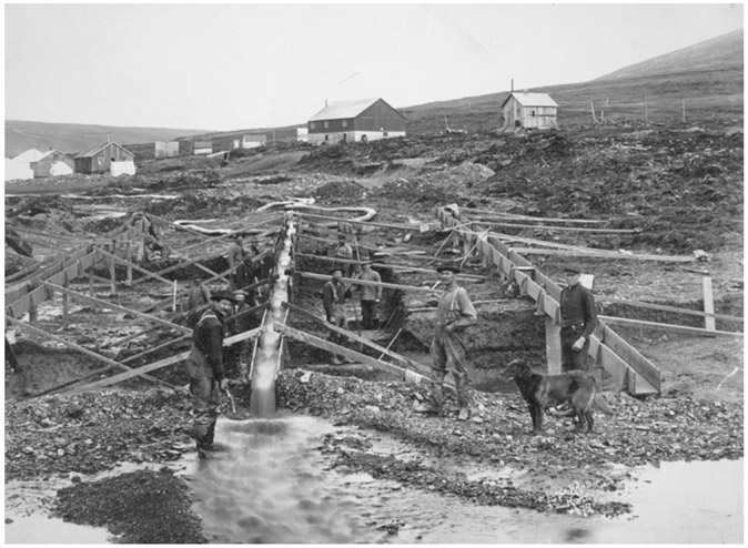 In placer mining sand and gravel are placed in a trough where rapidly moving - photo 1