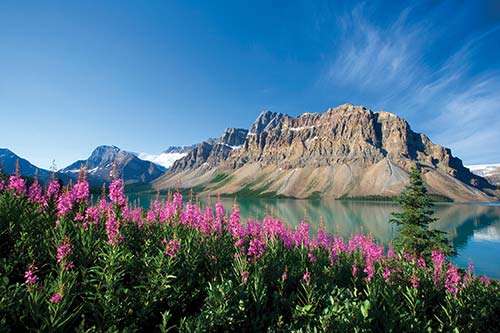 Bow Lake in Banff National Park Snowcapped peaks glaciers and ice fields - photo 12