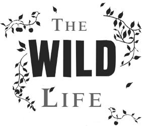 The Wild Life - image 2