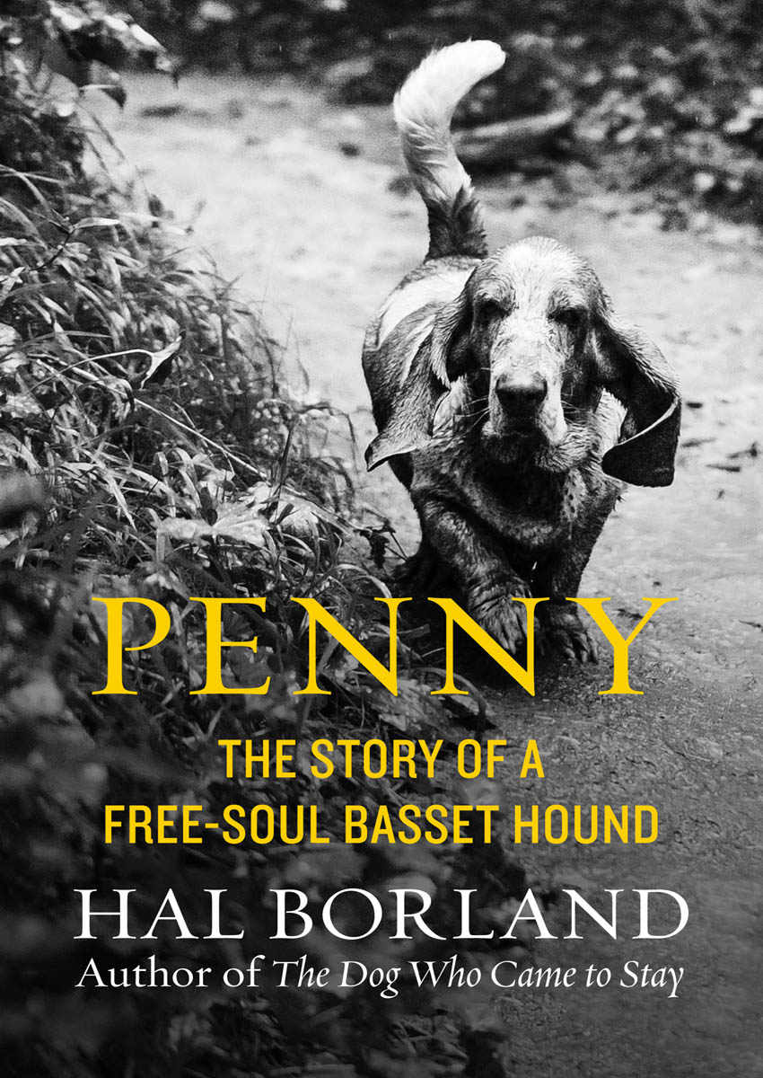 Penny The Story of a Free-Soul Basset Hound Hal Borland One It was - photo 1
